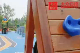 视频｜园林绿化“微改造”，淄博持续提升城区主干道沿线绿地图片