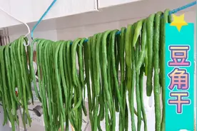 冬季卖十几块一斤的干豆角这样凉，简单不流失营养，保存时间久
