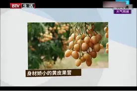 黄皮果应该怎么吃？吃多少才能起降血糖的作用？专家老师有话说视频封面