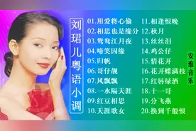 20首粤语小调《用爱将心偷+红豆相思+相逢恨晚》