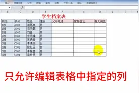 高手做的excel表格，只允许编辑表格中指定的列，原来实现很简单