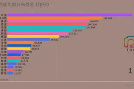 少数民族人数年龄分布TOP20和少数民族人数排行榜及外国转中国籍视频封面