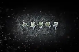 小伙照镜子时，发现自己的脸不见了，镜子上映出来的是后脑勺-