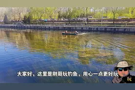 还在用水草镰刀清理水草么？来看看清理河道水草的大杀器#钓友记#