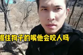 听说抓住狗狗的嘴巴会被咬，看看农村小土狗会有什么反应！