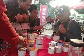 河南农村蛐蛐市场，3条蟋蟀150元成交了么？老板要给蛐蛐开追悼会视频封面