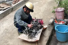 春节农村大叔走村串巷收购鸭毛，按个数算钱，应该挺赚钱吧视频封面