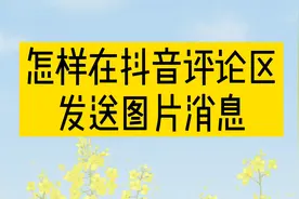 怎样在抖音评论区发送图片消息视频封面