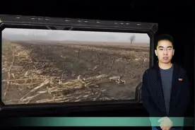 国外的秸秆还有这种处理方法！简单方便还能创收，全靠这款机器！视频封面