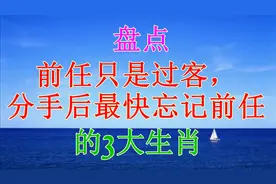 前任只是过客，分手后最快忘记前任，很快地寻找下家的三大生肖视频封面