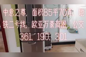 #楼市有料 中意之尊，面积85平70万，地铁二号线，欧亚万豪商圈，公交361、190、301图片