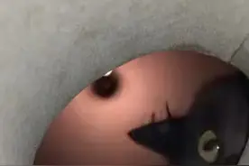 终于知道老鼠视角下的猫咪为什么那么恐怖了，看得我好怕怕……视频封面