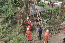 男子被困近十米高的树上，危险随时可能发生……图片