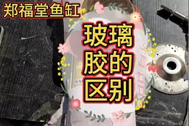 鱼缸玻璃胶，酸性，中性，碱性，到底怎么使用