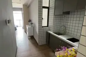 长安！尚莱领域  107国道旁  一桥之隔松岗  7888一平起  可首付3成分期5年#幸福里最新房产资讯 图片