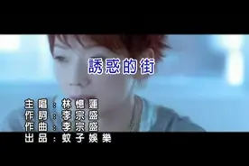 林忆莲《诱惑的街》前夫李宗盛作词作曲，歌词写的很狂野视频封面