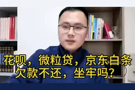 花呗、微粒贷、京东白条等欠钱不还，会坐牢吗？