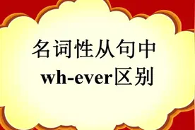 名词性从句中whatever、whichever、whoever等wh-ever用法和特征
