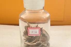 每日一种中药—枳壳