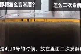 醪糟怎么二次发酵成米酒？这样出来的酒，爱喝酒的不要错过！