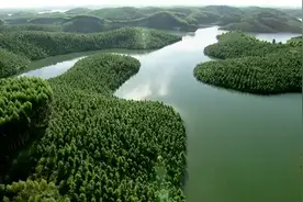 感人瞬间：时代楷模黄文秀图片