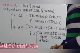 中药乌贼骨的功效与应用