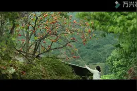 《小森林-》自然、料理和爱，寻找自己的小森林