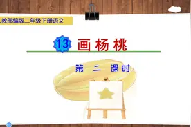 二年级下册语文《13.画杨桃》第二课时视频封面