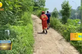 汉中南郑：村民刚刚被蜜蜂蛰，第二天地里干活又遇“菜花蛇”视频封面