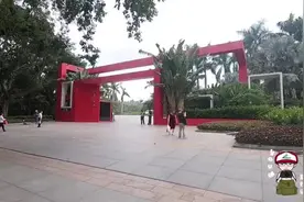 深圳莲花山公园相亲角，征婚女要求视频封面