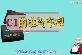 C1驾照的准驾车型
