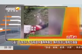 母亲送儿返校遭黑熊咬死，儿子逃脱，俩村民搜救也遇害|都市快报视频封面