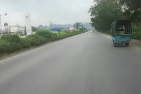 老林不小心把自家小狗压内伤嘴出血买来云南白药救治希望它不要死视频封面