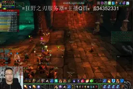 大胖！魔兽怀旧指导员！200法伤的法师BWL教学AOE地精！视频封面