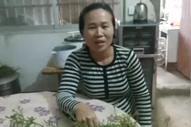 农村山上或者田边的这两种植物煮水给孩子洗澡可以强身健体好处多