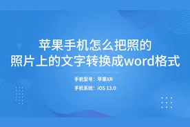 苹果手机怎么把照的照片上的文字转换成Word格式_1视频封面