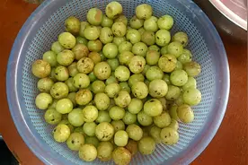 超简单腌制余甘教程，收藏学起来，去油解腻好吃孕妇最爱