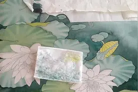 工笔画【荷花锦鲤叶子罩染】原来这么简单 第十二课 (3)