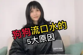 狗狗流口水的5大原因视频封面