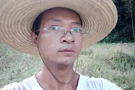 小伙在田野里赶鸭子放牛年入十万