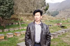 蜜蜂养殖技术，交尾群的组建与管理