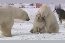 搞笑视频：兄弟，你是不是也认错了呀，你们看清楚了，我不是你的视频封面