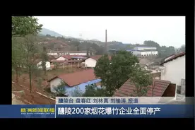醴陵200家烟花爆竹企业全面停产视频封面