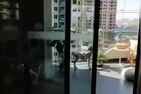 #幸福里讲解房产干货 郑州航空港区瀚海航城，高铁旁千亩大盘，3万定房，三年三次无息，月供2000➕。
 高图片