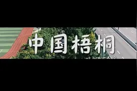 中国梧桐来报秋，打卡杭州中河南路仅剩不多的中国梧桐树