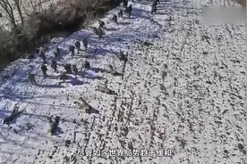 我国撤侨行动，一名日本人被拯救，离开时，他向五星红旗深鞠一躬