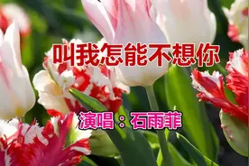 一首情歌《叫我怎能不想你》