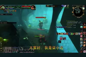 【魔兽世界怀旧服】当你忘记买弹药请不要惊慌，近战猎人教你做人