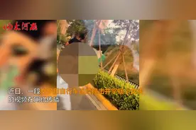 小女孩捡起女子丢的垃圾，反遭女子狂扇耳光，并用自行车连续撞击视频封面