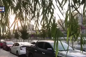 [央视新闻]快递小哥：自豪着 走进国庆群众游行方阵